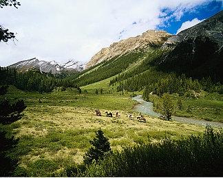 欧美12月游戏收入热度榜：《堡垒之夜》重新登顶